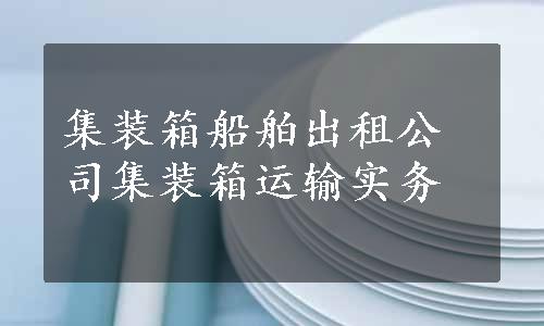 集装箱船舶出租公司集装箱运输实务