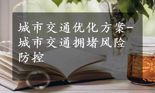 城市交通优化方案-城市交通拥堵风险防控