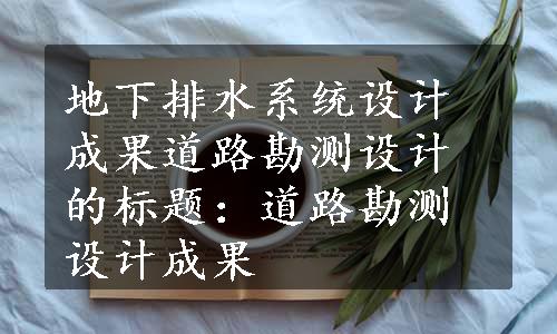 地下排水系统设计成果
道路勘测设计的标题：道路勘测设计成果