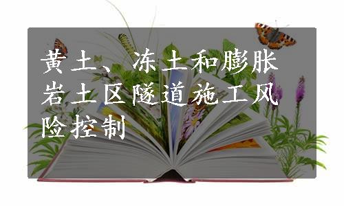 黄土、冻土和膨胀岩土区隧道施工风险控制