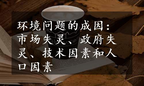 环境问题的成因：市场失灵、政府失灵、技术因素和人口因素