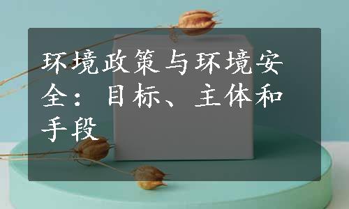 环境政策与环境安全：目标、主体和手段