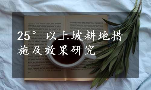 25°以上坡耕地措施及效果研究