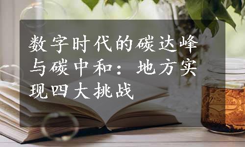 数字时代的碳达峰与碳中和：地方实现四大挑战