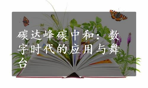 碳达峰碳中和：数字时代的应用与舞台