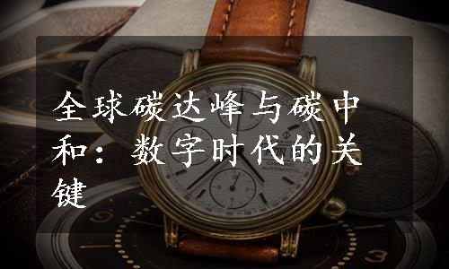 全球碳达峰与碳中和：数字时代的关键