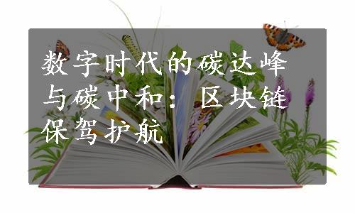 数字时代的碳达峰与碳中和：区块链保驾护航