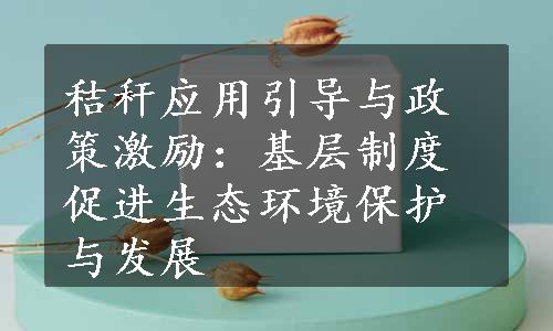 秸秆应用引导与政策激励：基层制度促进生态环境保护与发展