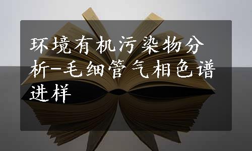 环境有机污染物分析-毛细管气相色谱进样