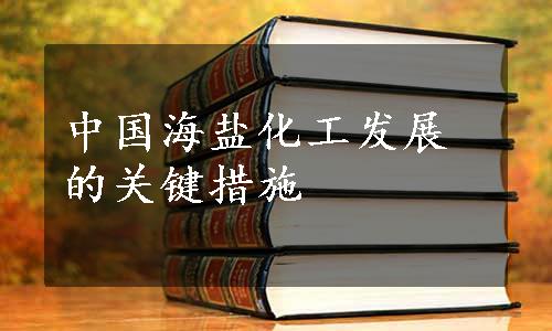 中国海盐化工发展的关键措施