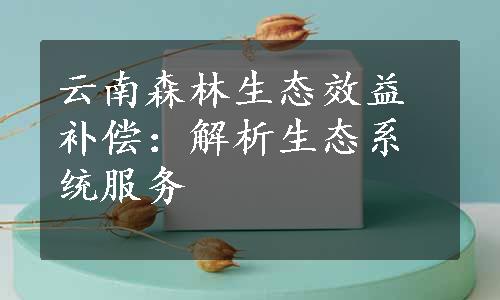 云南森林生态效益补偿：解析生态系统服务