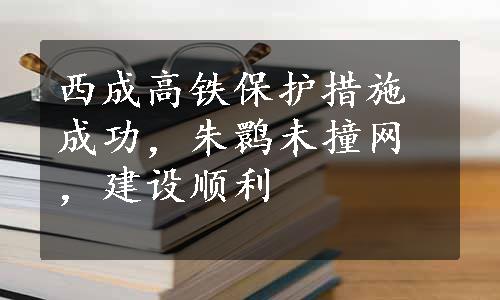 西成高铁保护措施成功，朱鹮未撞网，建设顺利