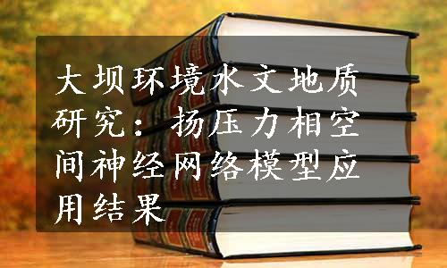 大坝环境水文地质研究：扬压力相空间神经网络模型应用结果