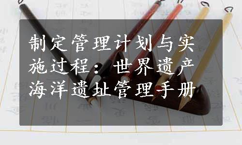 制定管理计划与实施过程：世界遗产海洋遗址管理手册