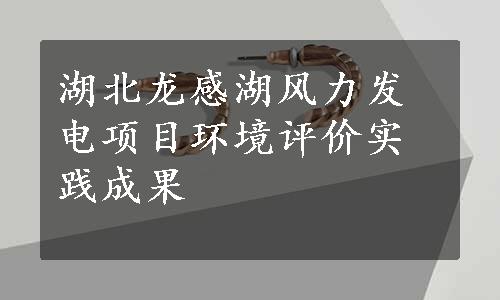 湖北龙感湖风力发电项目环境评价实践成果