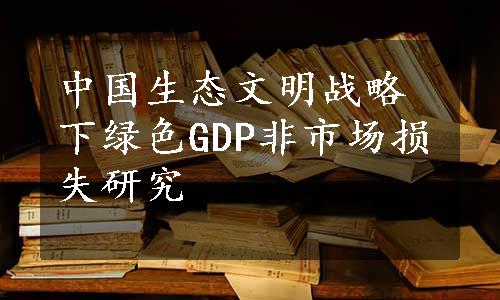 中国生态文明战略下绿色GDP非市场损失研究