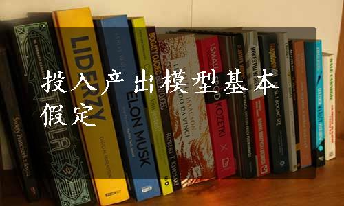 投入产出模型基本假定