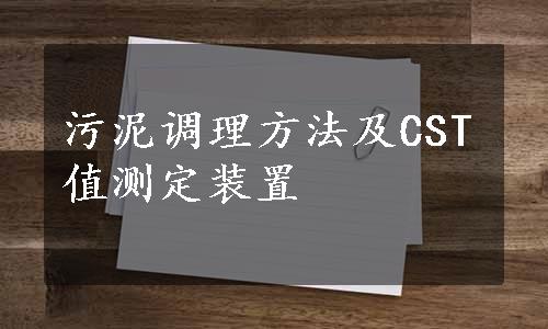 污泥调理方法及CST值测定装置