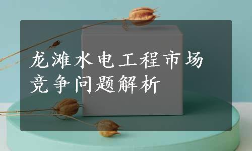 龙滩水电工程市场竞争问题解析