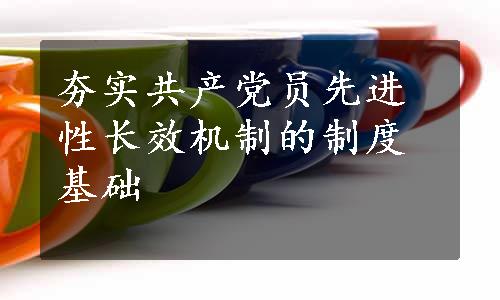 夯实共产党员先进性长效机制的制度基础