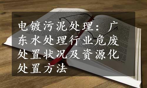 电镀污泥处理：广东水处理行业危废处置状况及资源化处置方法