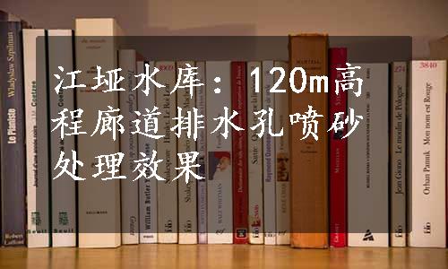 江垭水库：120m高程廊道排水孔喷砂处理效果