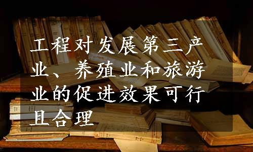 工程对发展第三产业、养殖业和旅游业的促进效果可行且合理