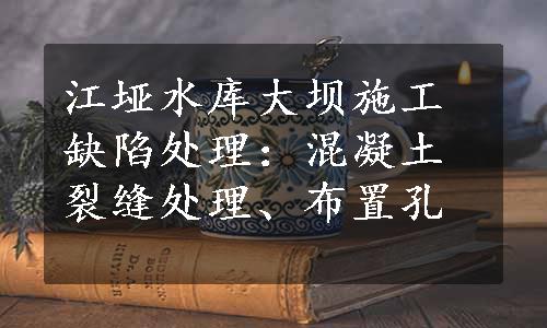 江垭水库大坝施工缺陷处理：混凝土裂缝处理、布置孔