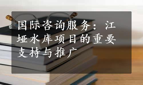 国际咨询服务：江垭水库项目的重要支持与推广