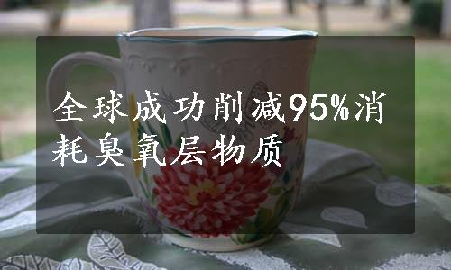 全球成功削减95%消耗臭氧层物质