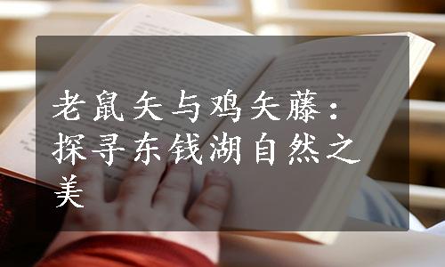 老鼠矢与鸡矢藤：探寻东钱湖自然之美