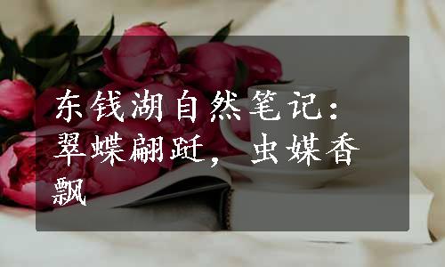 东钱湖自然笔记：翠蝶翩跹，虫媒香飘