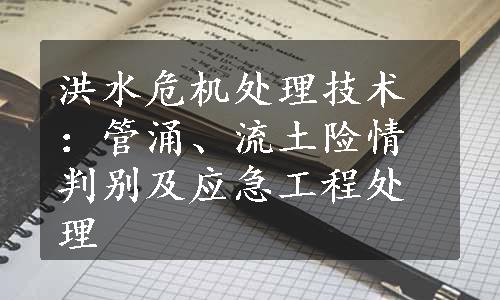 洪水危机处理技术：管涌、流土险情判别及应急工程处理