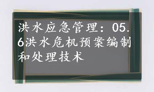 洪水应急管理：05.6洪水危机预案编制和处理技术