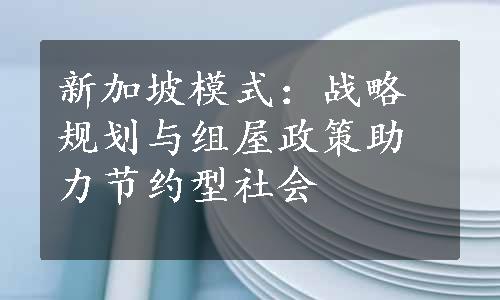 新加坡模式：战略规划与组屋政策助力节约型社会