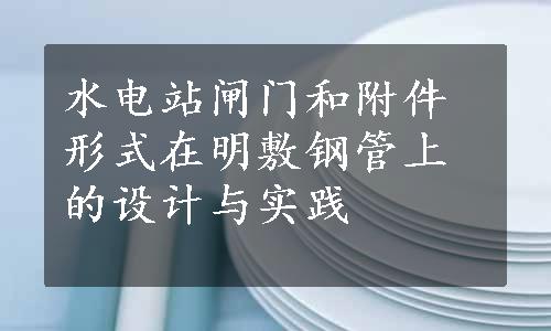 水电站闸门和附件形式在明敷钢管上的设计与实践