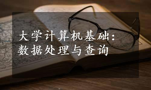 大学计算机基础：数据处理与查询