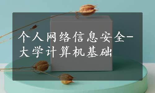 个人网络信息安全-大学计算机基础