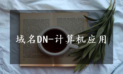 域名DN-计算机应用