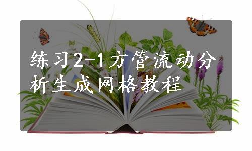 练习2-1方管流动分析生成网格教程