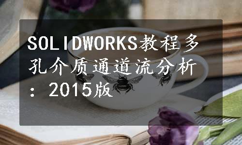 SOLIDWORKS教程多孔介质通道流分析：2015版