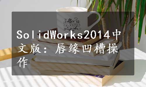 SolidWorks2014中文版：唇缘凹槽操作