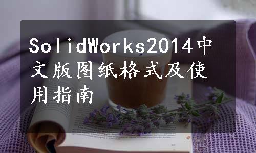 SolidWorks2014中文版图纸格式及使用指南