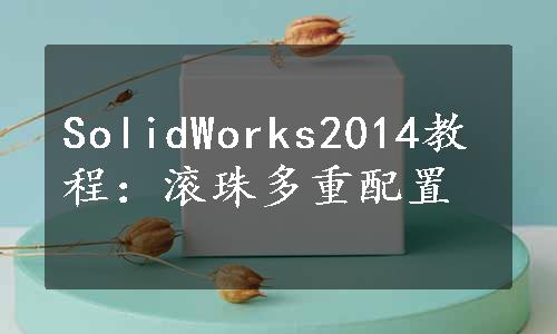 SolidWorks2014教程：滚珠多重配置