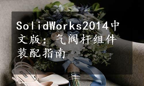 SolidWorks2014中文版：气阀杆组件装配指南