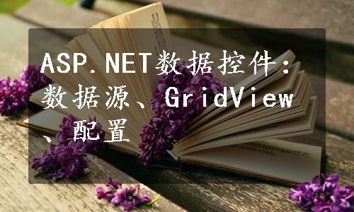 ASP.NET数据控件：数据源、GridView、配置