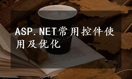 ASP.NET常用控件使用及优化