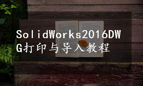 SolidWorks2016DWG打印与导入教程