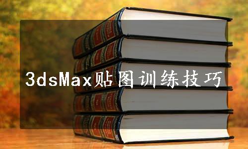 3dsMax贴图训练技巧