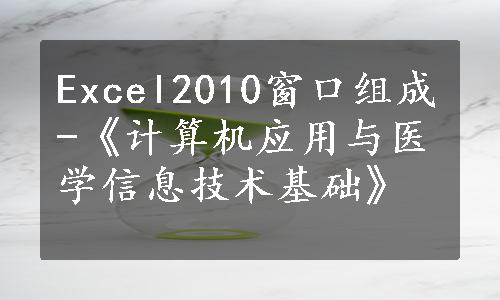 Excel2010窗口组成-《计算机应用与医学信息技术基础》